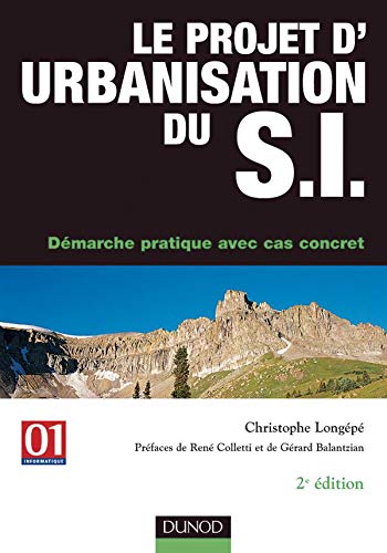 Stock image for Le Projet d'urbanisation du S.I. : Dmarche pratique avec cas concret for sale by medimops