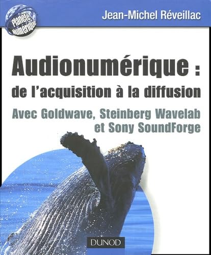 Beispielbild fr Audionumrique : de l'acquisition  la diffusion : Avec Goldware, Steinberg wavelab et Sony Soundforge zum Verkauf von Ammareal