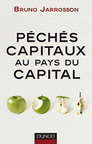 9782100496259: Pchs capitaux au pays du capital