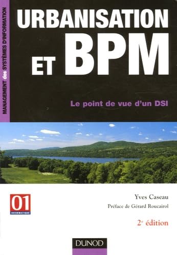 9782100496754: Urbanisation et BPM: Le point de vue d'un DSI