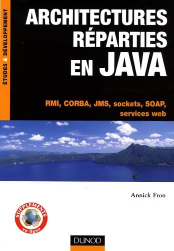 9782100511419: Architectures reparties en Java (French Edition)