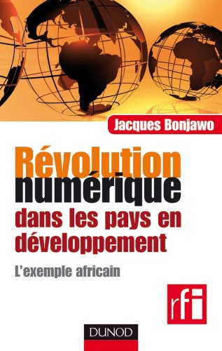 Imagen de archivo de Rvolution numrique dans les pays en dveloppement - L'exemple africain a la venta por medimops