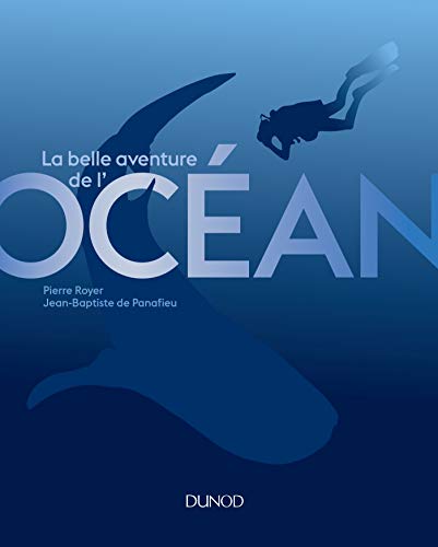 Stock image for La belle aventure de l'Ocan for sale by Ammareal