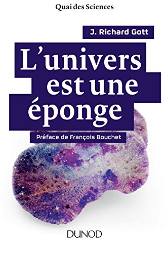 Stock image for L'univers est une ponge for sale by Ammareal