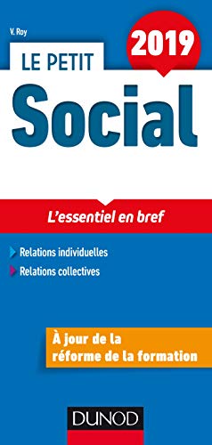 9782100788699: Le Petit Social 2019 - L'essentiel en bref (Les petits experts)