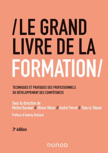 Beispielbild fr Le Grand Livre De La Formation : Techniques Et Pratiques Des Professionnels Du Dveloppement Des Com zum Verkauf von RECYCLIVRE