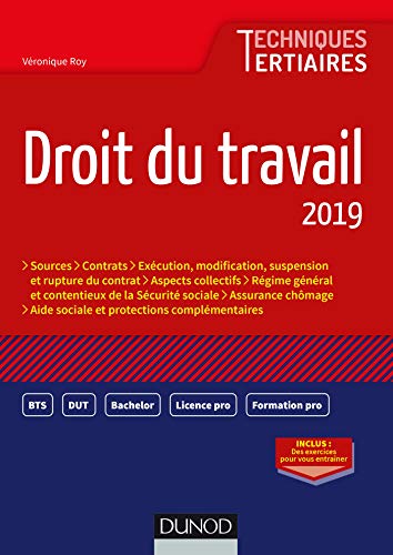 Stock image for Droit du travail 2019 for sale by Ammareal