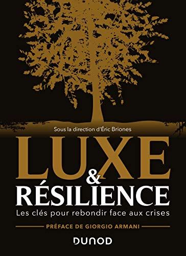 Beispielbild fr Luxe et rsilience - Les cls pour rebondir face aux crises: Les cls pour rebondir face aux crises zum Verkauf von medimops