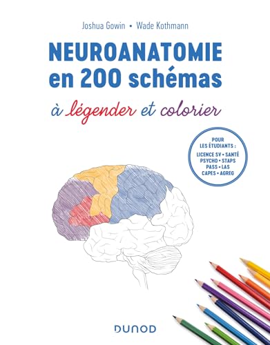 Stock image for Neuroanatomie en 200 schmas  lgender et colorier for sale by Gallix