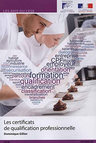 Beispielbild fr Les Certificats De Qualification Professionnelle zum Verkauf von RECYCLIVRE