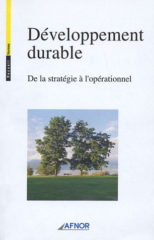 Stock image for Dveloppement durable: De la stratgie  l'oprationnel for sale by Ammareal