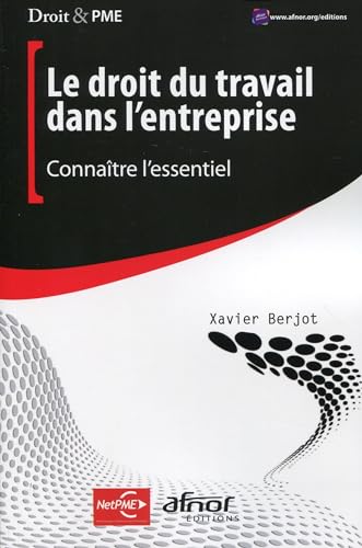 9782124654819: Le droit du travail dans l'entreprise: Connatre l'essentiel.