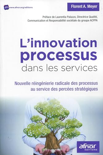 Stock image for L'innovation processus dans les services: Nouvelle ringnierie radicale des processus au service des perces stratgiques. for sale by Ammareal