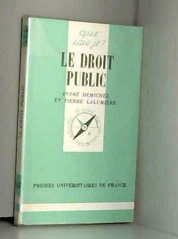 9782130389378: Le Droit public