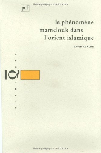 Beispielbild fr Le Phnomne Mamelouk Dans L'orient Islamique zum Verkauf von RECYCLIVRE