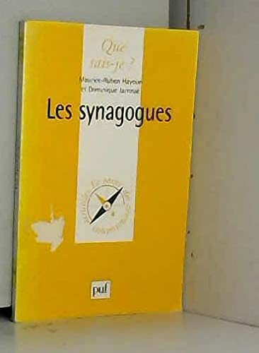 9782130495840: Les synagogues (QUE SAIS-JE ?)