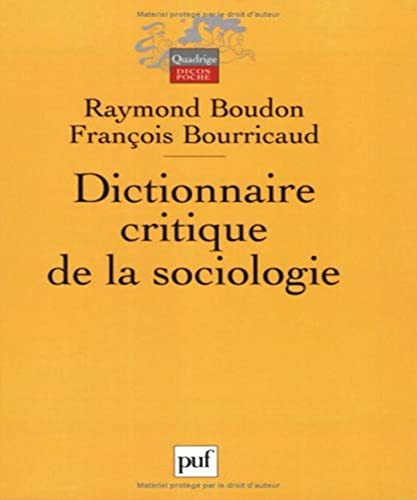 Stock image for Dictionnaire critique de la sociologie (3e dition) for sale by LiLi - La Libert des Livres