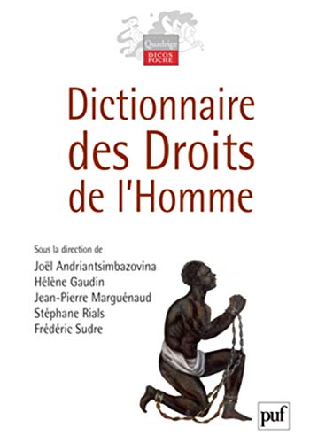 Beispielbild fr Dictionnaire des droits de l'homme zum Verkauf von medimops