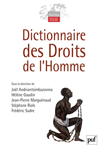 Stock image for Dictionnaire des droits de l'homme for sale by medimops
