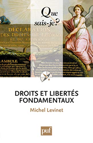 Stock image for Droits et liberts fondamentaux for sale by Ammareal