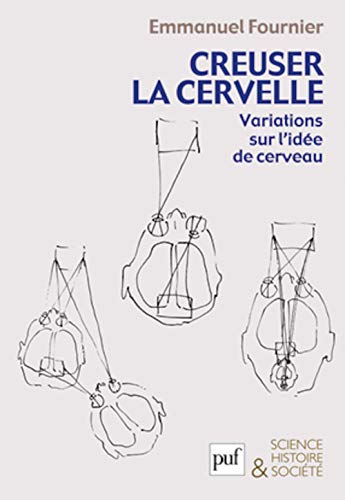 Beispielbild fr Creuser La Cervelle : Variations Sur L'ide De Cerveau zum Verkauf von RECYCLIVRE