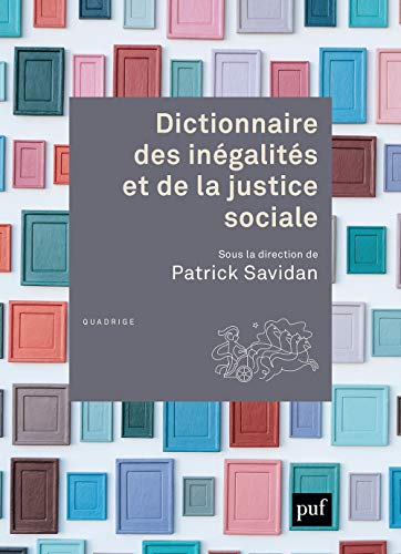 Beispielbild fr Dictionnaire Des Ingalits Et De La Justice Sociale zum Verkauf von RECYCLIVRE