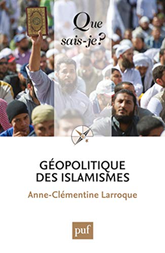 Beispielbild fr GEOPOLITIQUE DES ISLAMISMES QSJ 4014 (QUE SAIS-JE ?) zum Verkauf von WorldofBooks