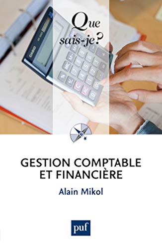 Stock image for Gestion comptable et financire for sale by Ammareal