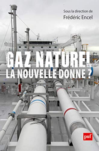 9782130732587: Gaz naturel, la nouvelle donne ?