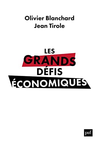 9782130838043: Les grands dfis conomiques: L'urgence du long terme