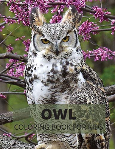 Beispielbild fr Owl Coloring Book for Kids: Cute Owl Designs to Color for Girls, Boys and Kids Ages 3-8 - Coloring and Acitivity Book for Kids Ages 3-8 with Adora zum Verkauf von Buchpark