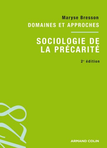 Stock image for Sociologie de la prcarit: Domaines et approches for sale by medimops