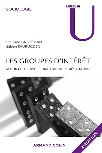 Stock image for Les groupes d'intrt: Action collective et stratgies de reprsentation for sale by GF Books, Inc.