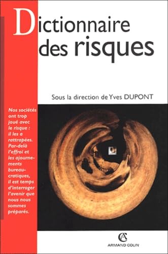 Imagen de archivo de Dictionnaire des risques a la venta por Ammareal