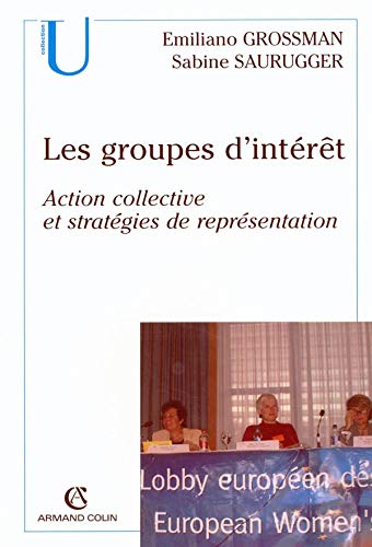 Stock image for Les groupes d'intrt: Action collective et stratgies de reprsentation for sale by Ammareal