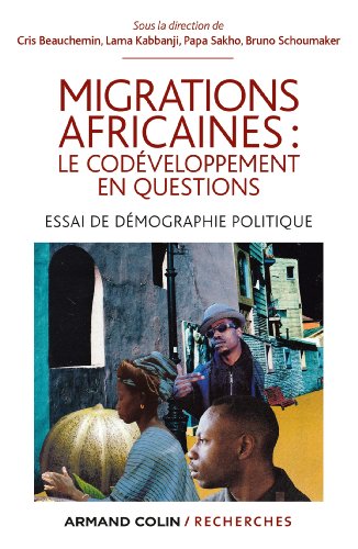 Beispielbild fr Migrations africaines : le co-dveloppement en questions zum Verkauf von LiLi - La Libert des Livres