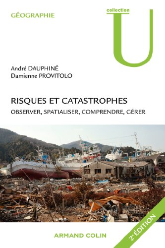 Stock image for Risques Et Catastrophes : Observer, Spatialiser, Comprendre, Grer for sale by RECYCLIVRE