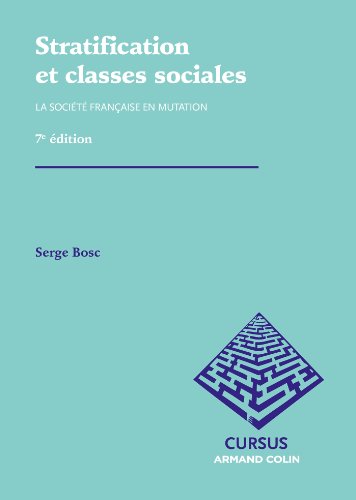 Stock image for Stratification et classes sociales : La socit franaise en mutation for sale by Revaluation Books