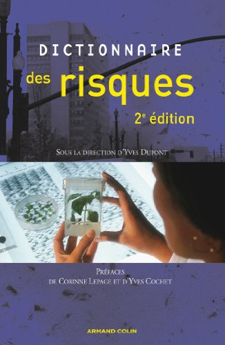 Stock image for Dictionnaire des risques for sale by Shanti