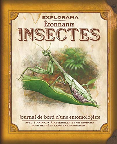 Stock image for Etonnants insectes for sale by medimops