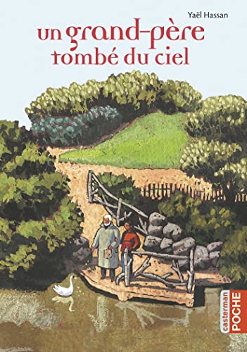 Stock image for Un grand-père tombé du ciel for sale by medimops