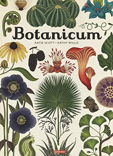 Beispielbild fr Botanicum zum Verkauf von medimops