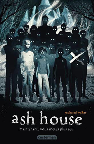 9782203222519: Ash House