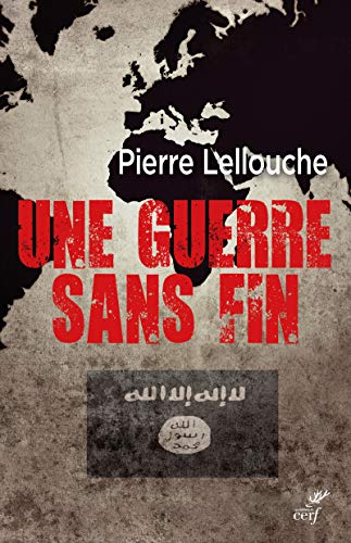 Stock image for Une Guerre Sans Fin for sale by RECYCLIVRE