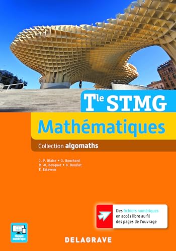 Beispielbild fr Mathmatiques Tle STMG zum Verkauf von Revaluation Books