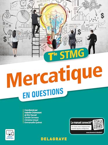 9782206204123: Mercatique en questions Tle STMG