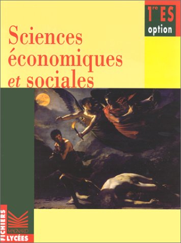 Stock image for Fichier sciences conomiques et sociales option 1re ES for sale by Ammareal