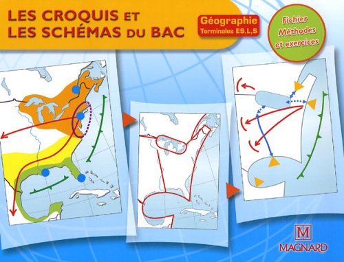 Stock image for Les croquis et les schmas du Bac Gographie Tle ES, L, S : Fichier Mthodes et exercices for sale by Ammareal