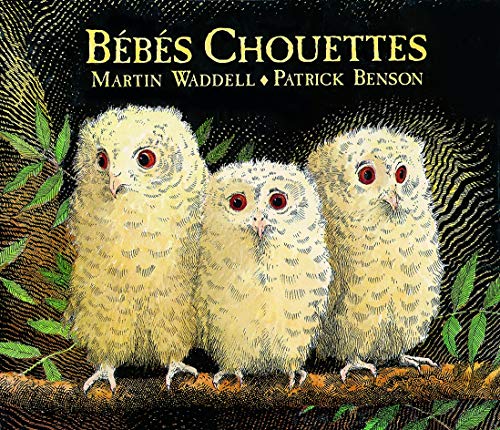 Stock image for Bebes chouettes for sale by WorldofBooks