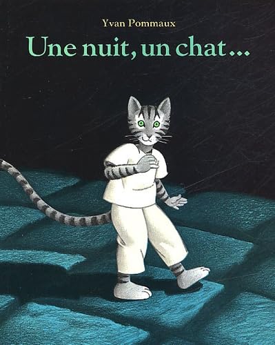 9782211033206: Une nuit, un chat--